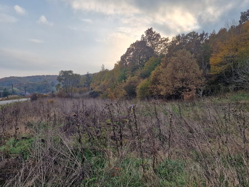 Teren 1,717mp Margineni, strada Sat podis