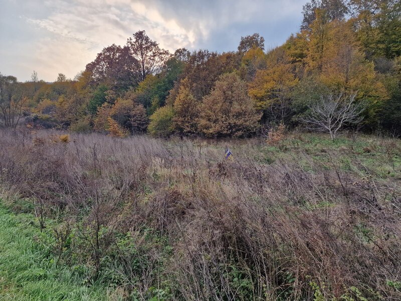 Teren 1,717mp Margineni, strada Sat podis